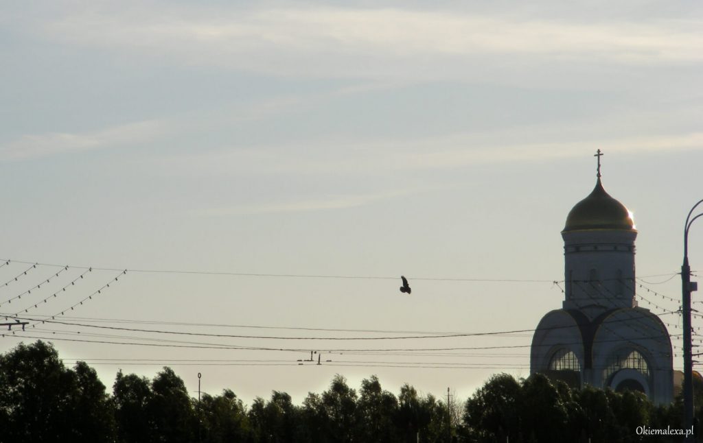 moskwa, park zwyciestwa