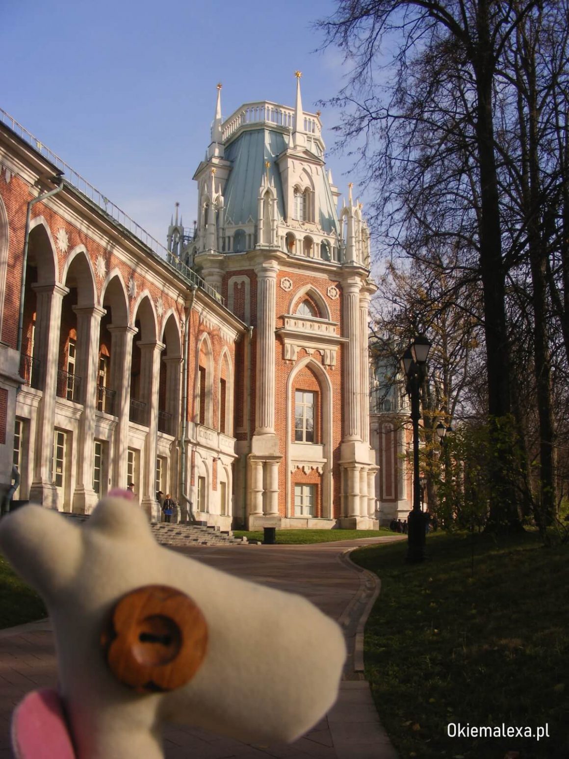 Park Carycyno, Moskwa