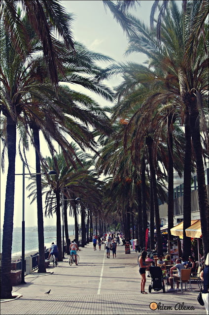 WYBRZEŻE COSTA DEL SOL, MARBELLA WYBRZEŻE COSTA DEL SOL, MARBELLA