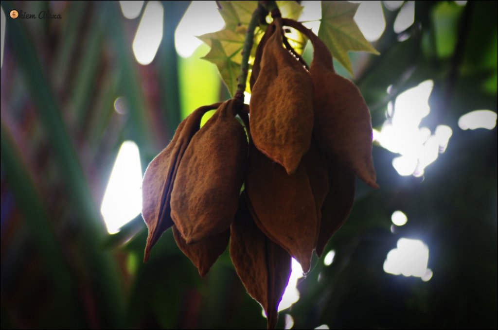 WYBRZEŻE COSTA DEL SOL, MARBELLA WYBRZEŻE COSTA DEL SOL, MARBELLA