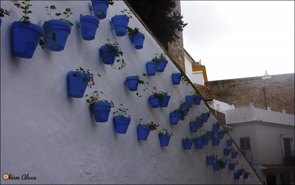 WYBRZEŻE COSTA DEL SOL, MARBELLA WYBRZEŻE COSTA DEL SOL, MARBELLA