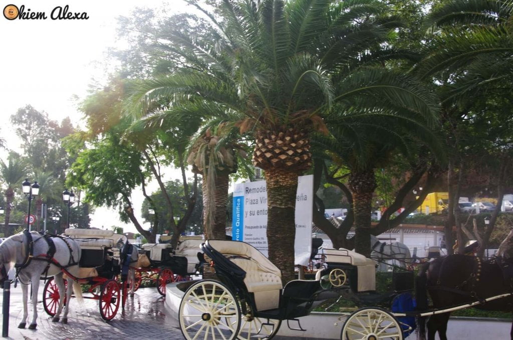 WYBRZEŻE COSTA DEL SOL, MIJAS WYBRZEŻE COSTA DEL SOL, MIJAS