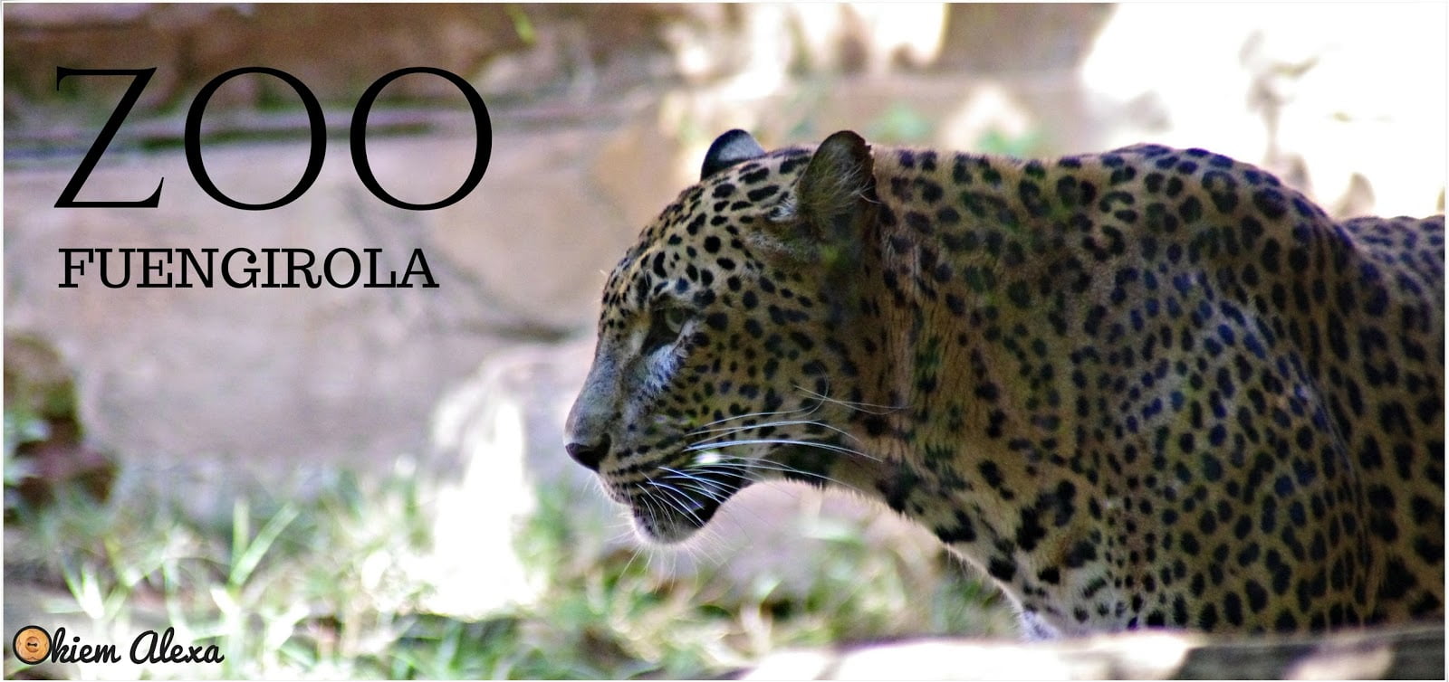 FUENGIOLA, ZOO BIOPARC