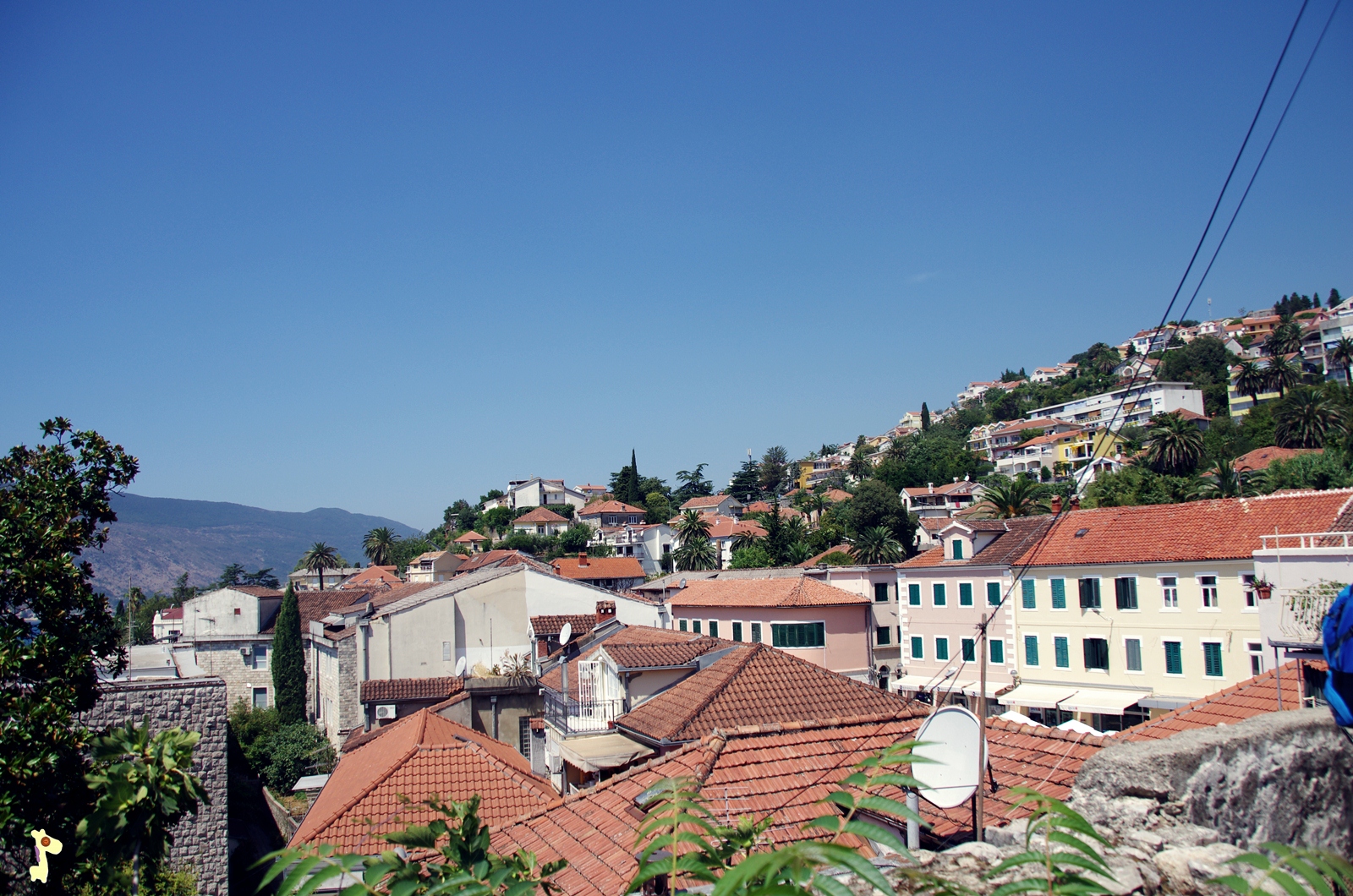Herceg Novi Czarnogóra