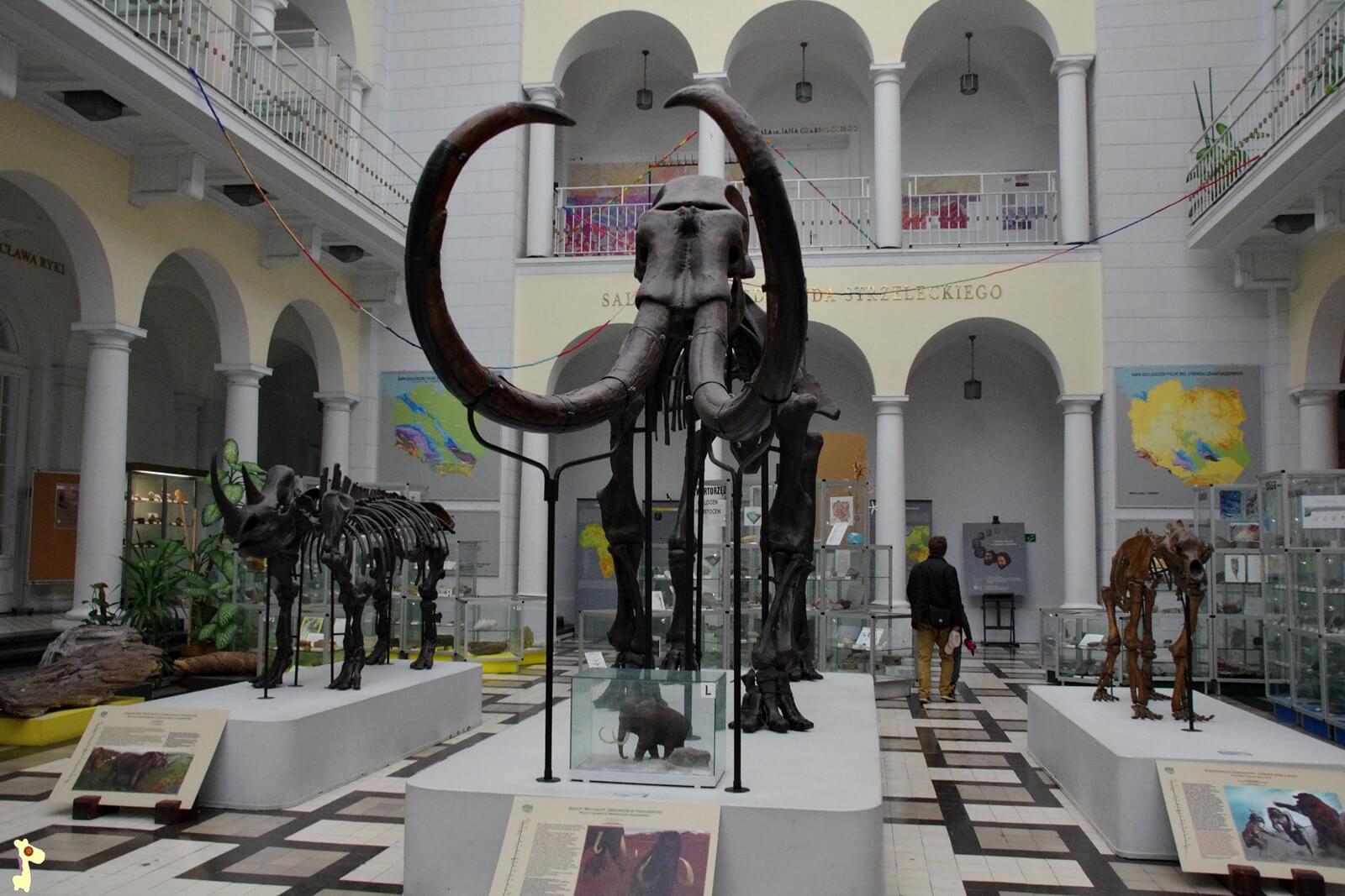 Muzeum Geologiczne, Warszawa