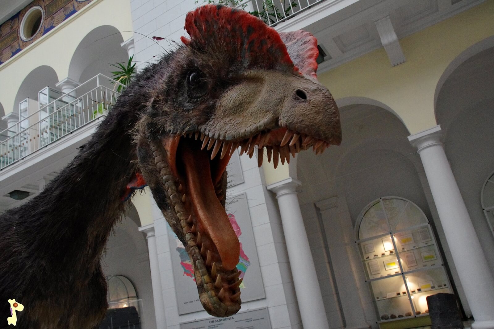 Muzeum Geologiczne, Warszawa