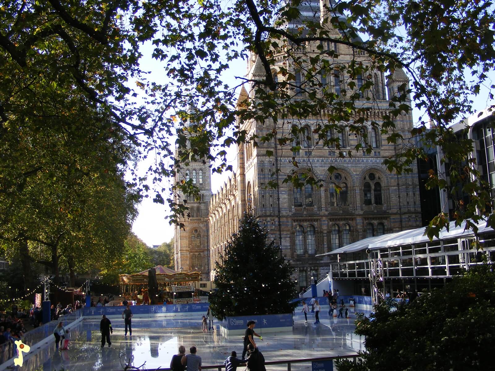 lodowisko national history museum