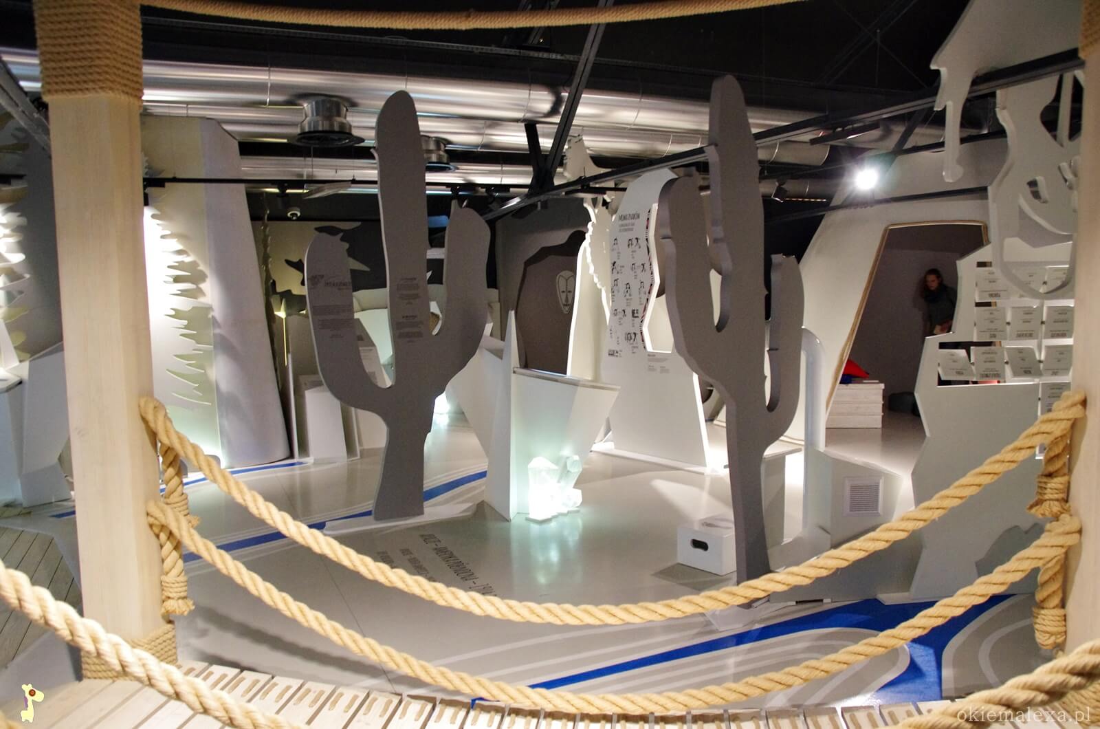 Muzeum Śląskie, na tropie Tomka