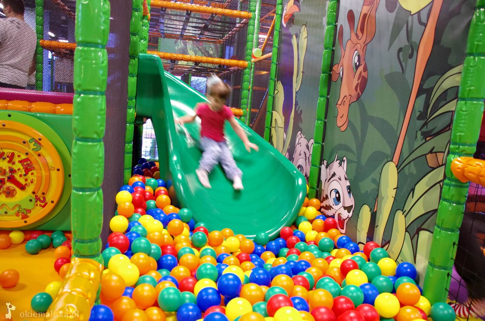 Sala zabaw Honolulu Gdańsk