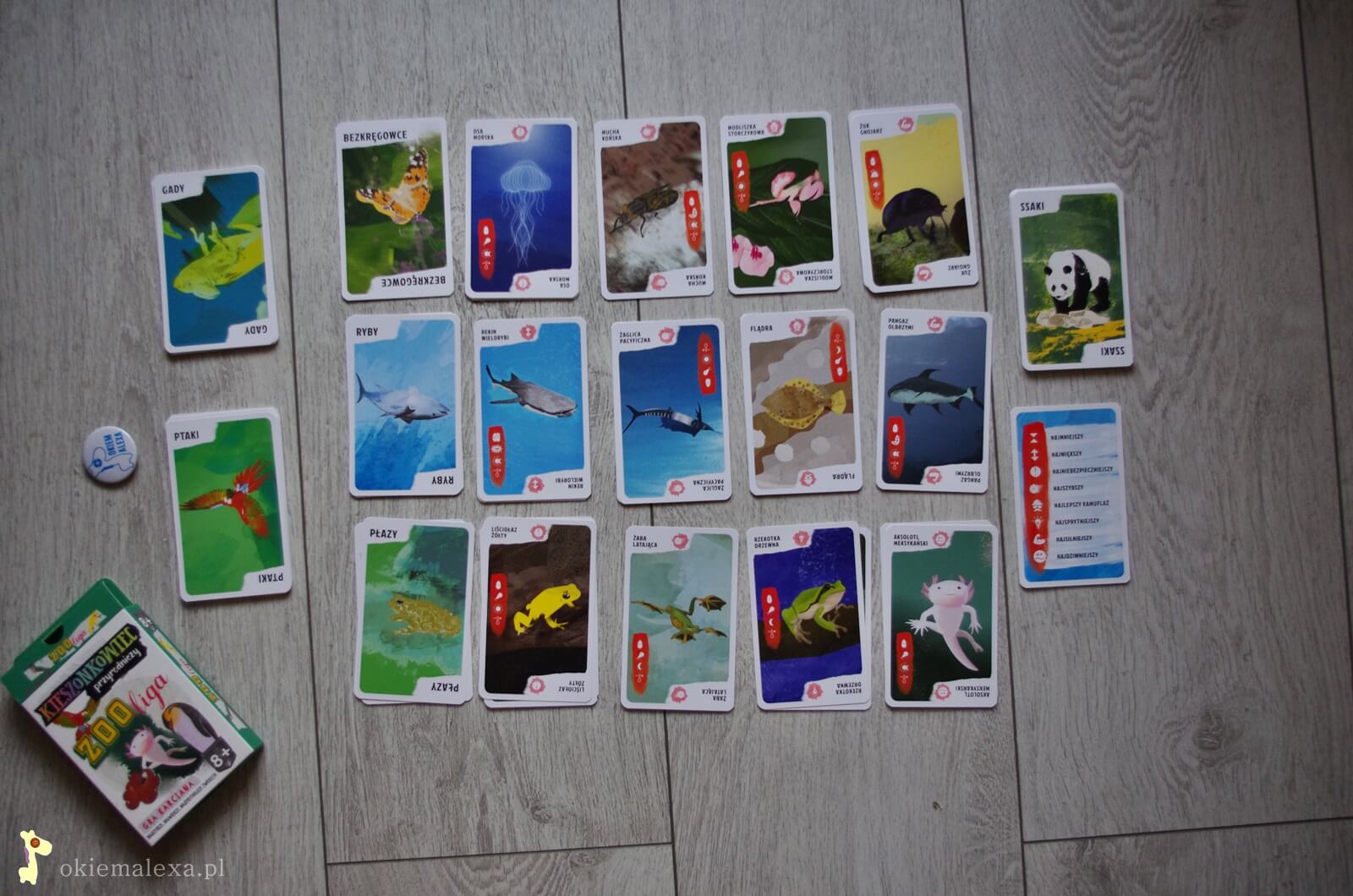 Kieszonkowiec przyrodniczy Zoo liga