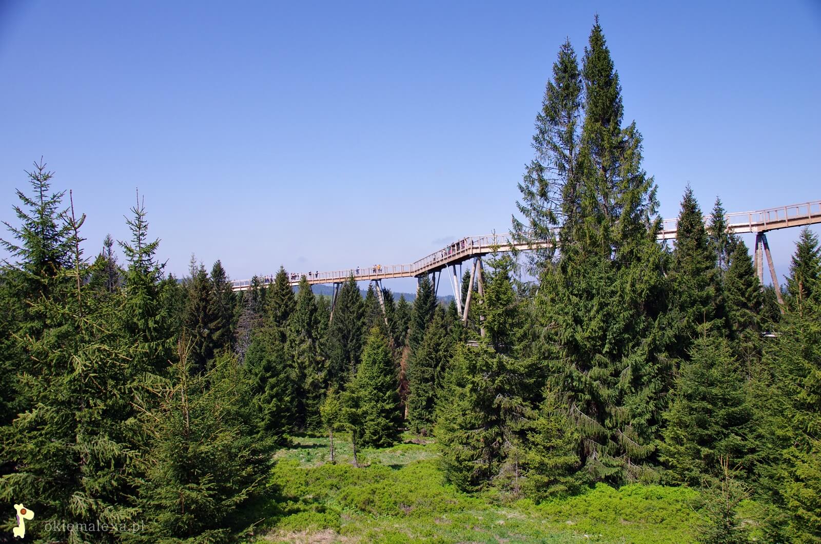 Ścieżka w koronach drzew, Słowacja