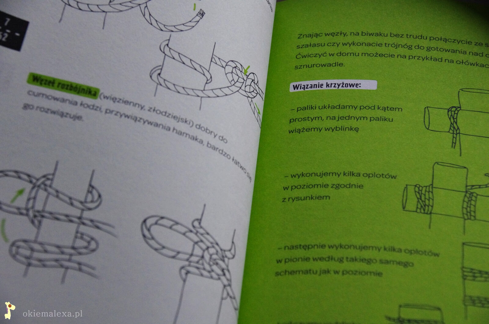 A Adi powiedział… Jak przetrwać w podmiejskim buszu