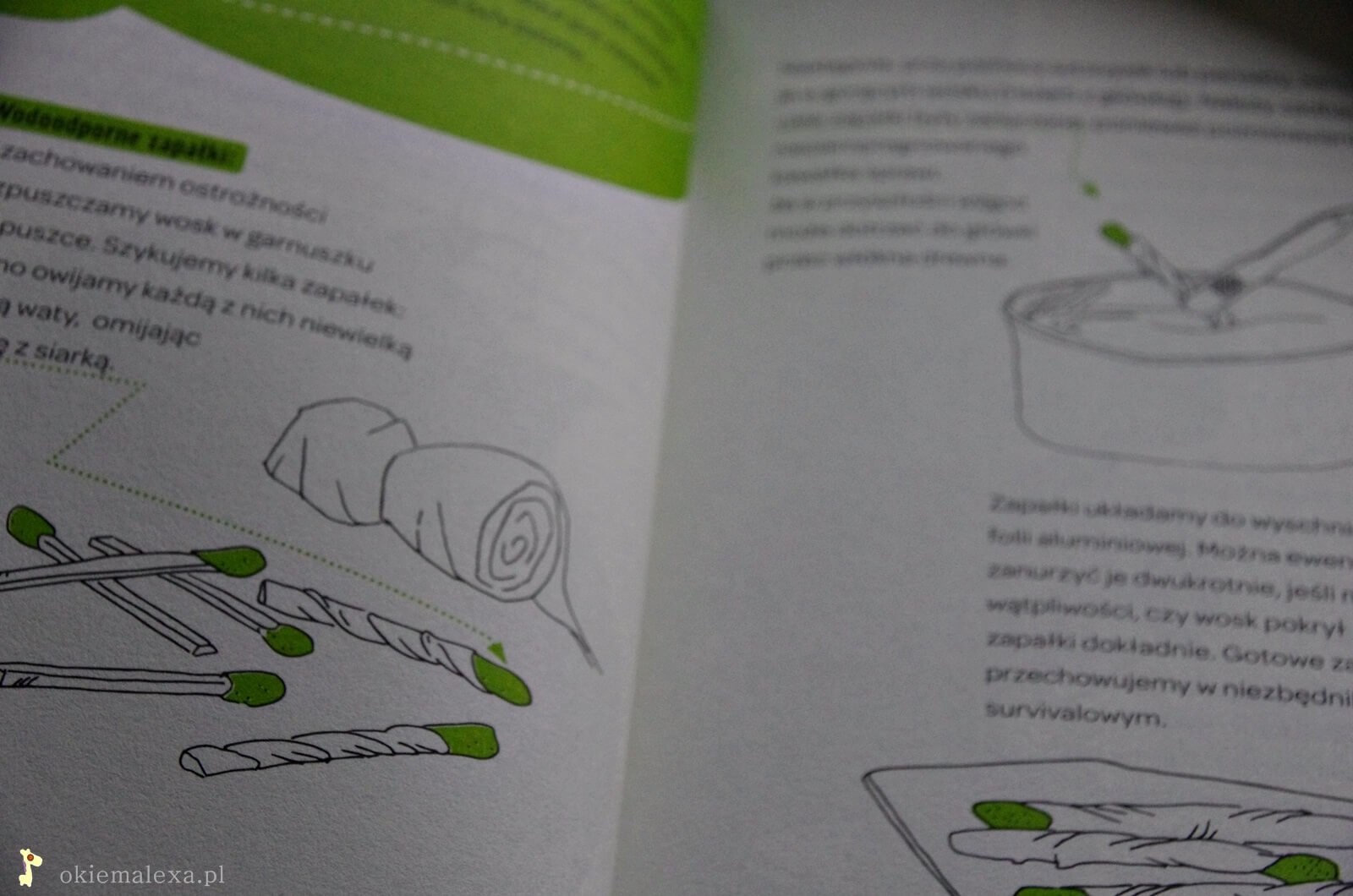 A Adi powiedział… Jak przetrwać w podmiejskim buszu