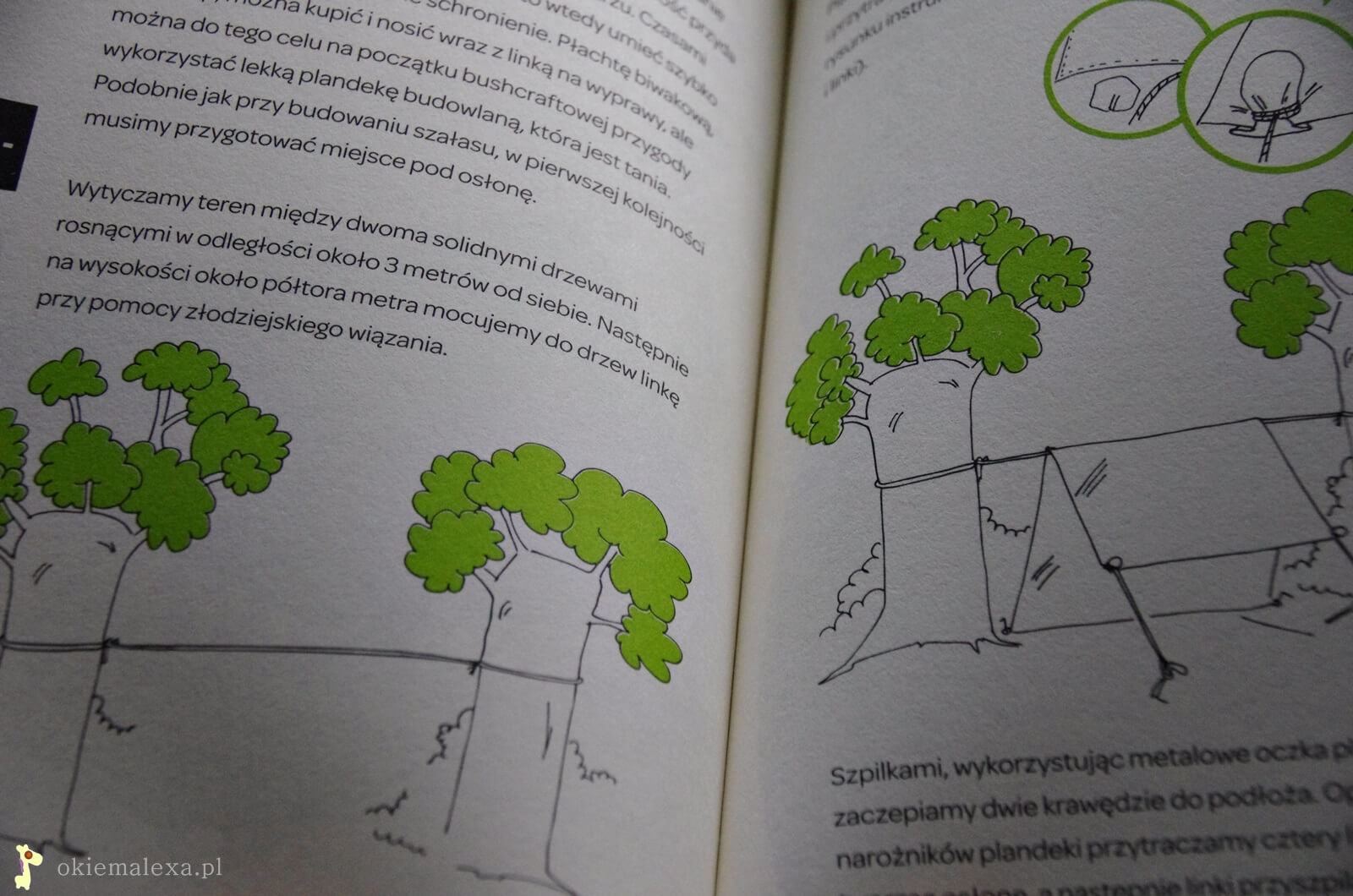 A Adi powiedział… Jak przetrwać w podmiejskim buszu