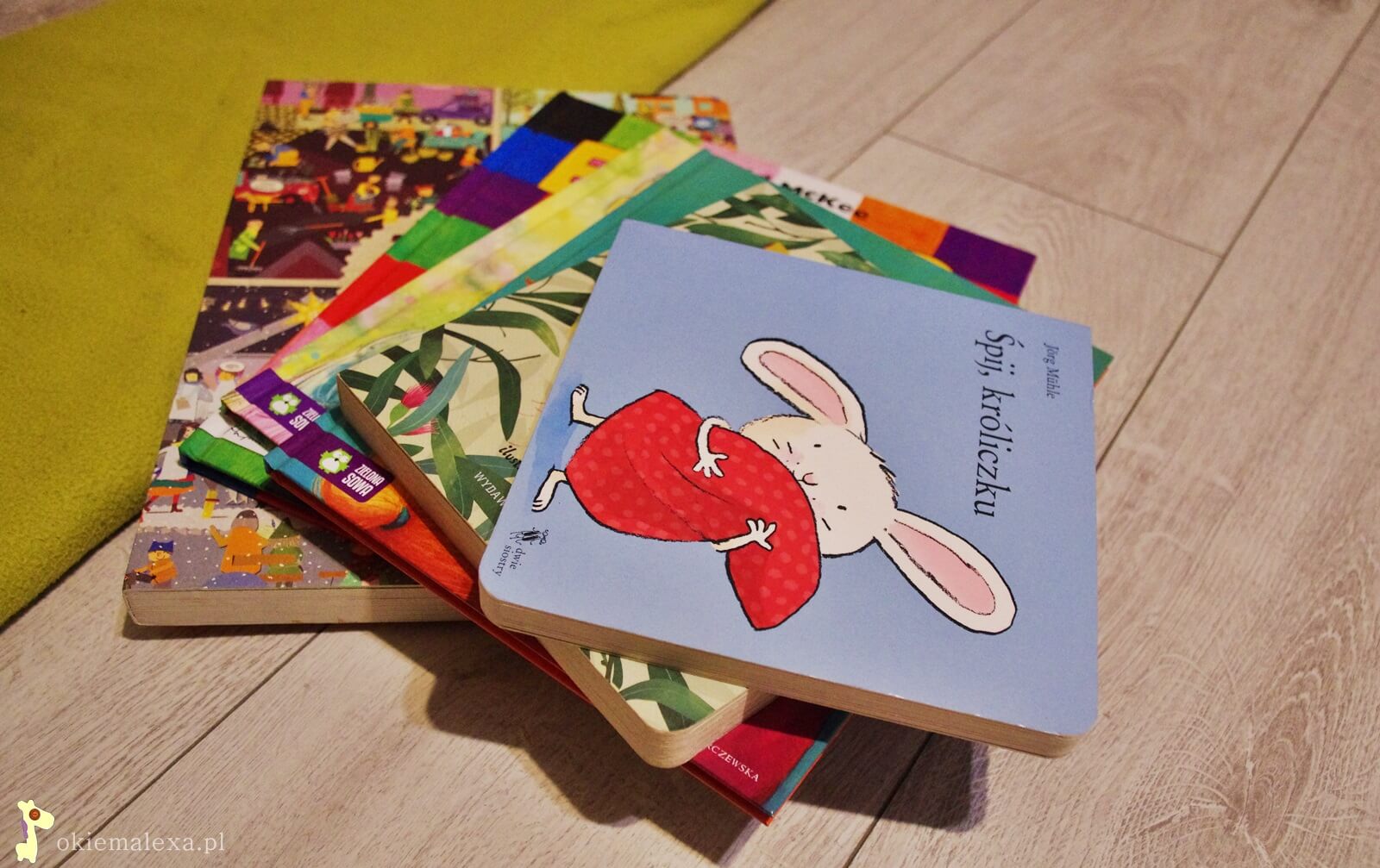 pazdzienikowa bibliotek malucha