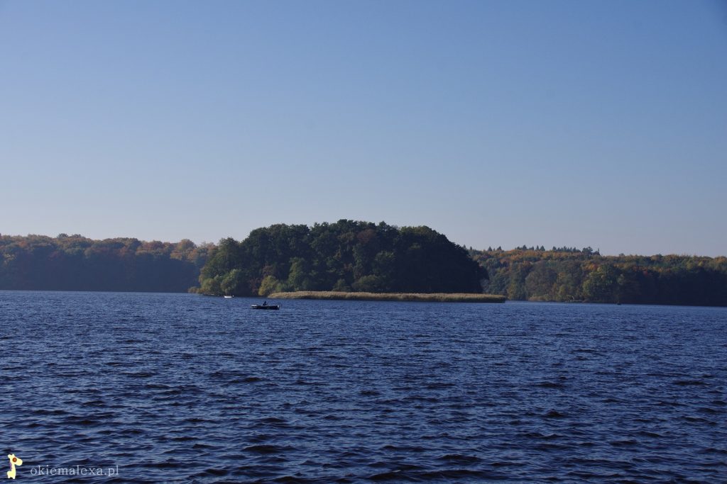 Szczecinek