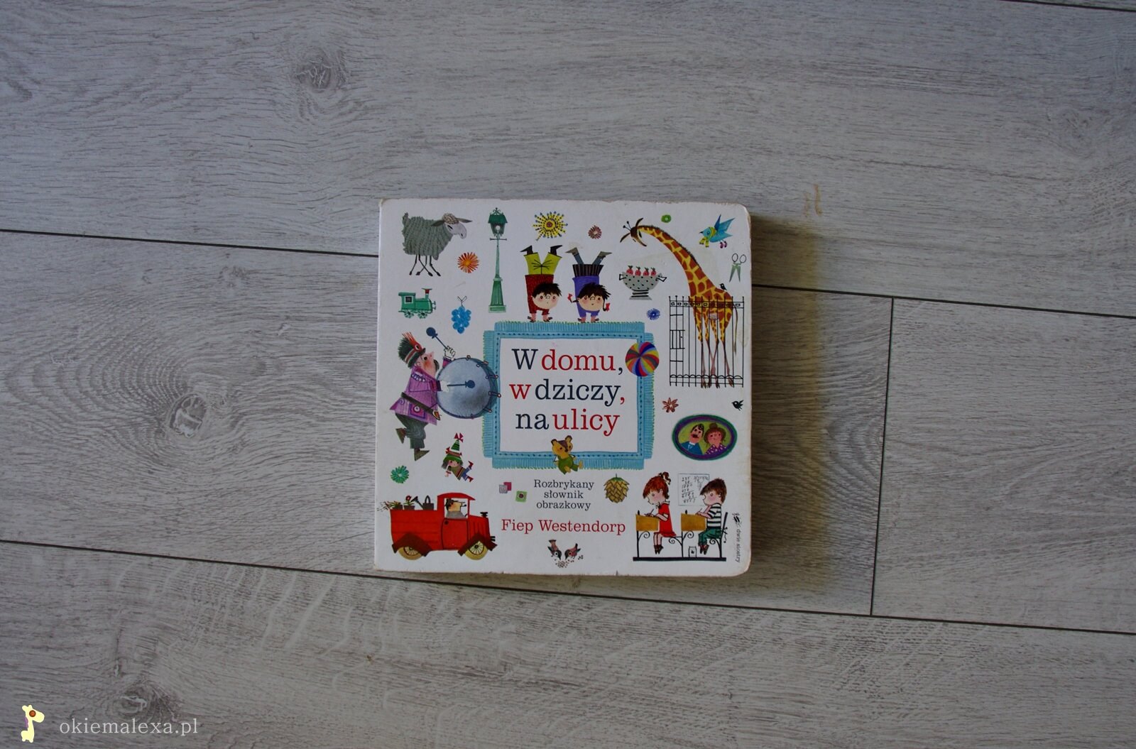 w domu, w dziczy, na ulicy