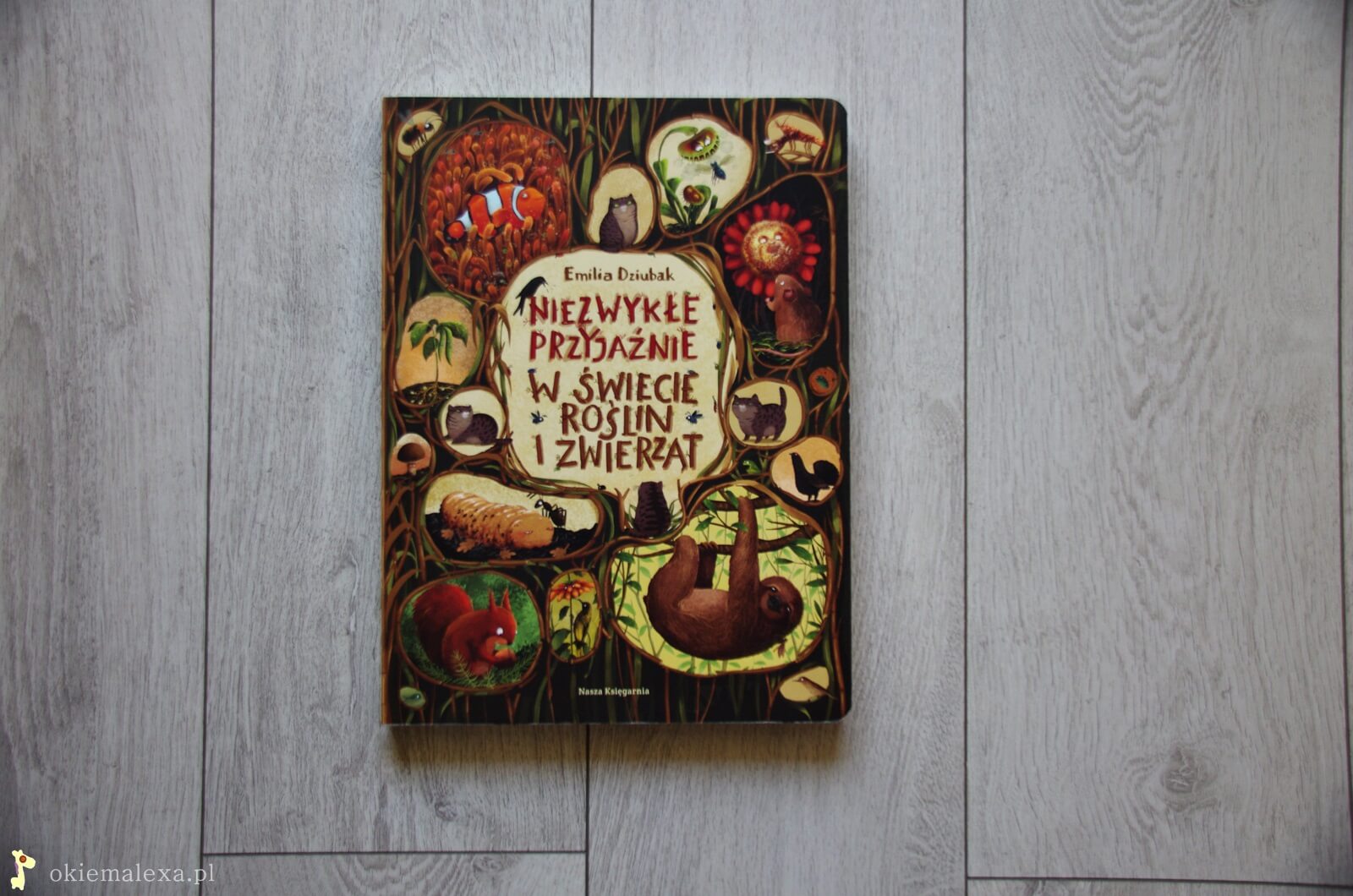 Miezwykle przyjazdnie w swiecie roslin