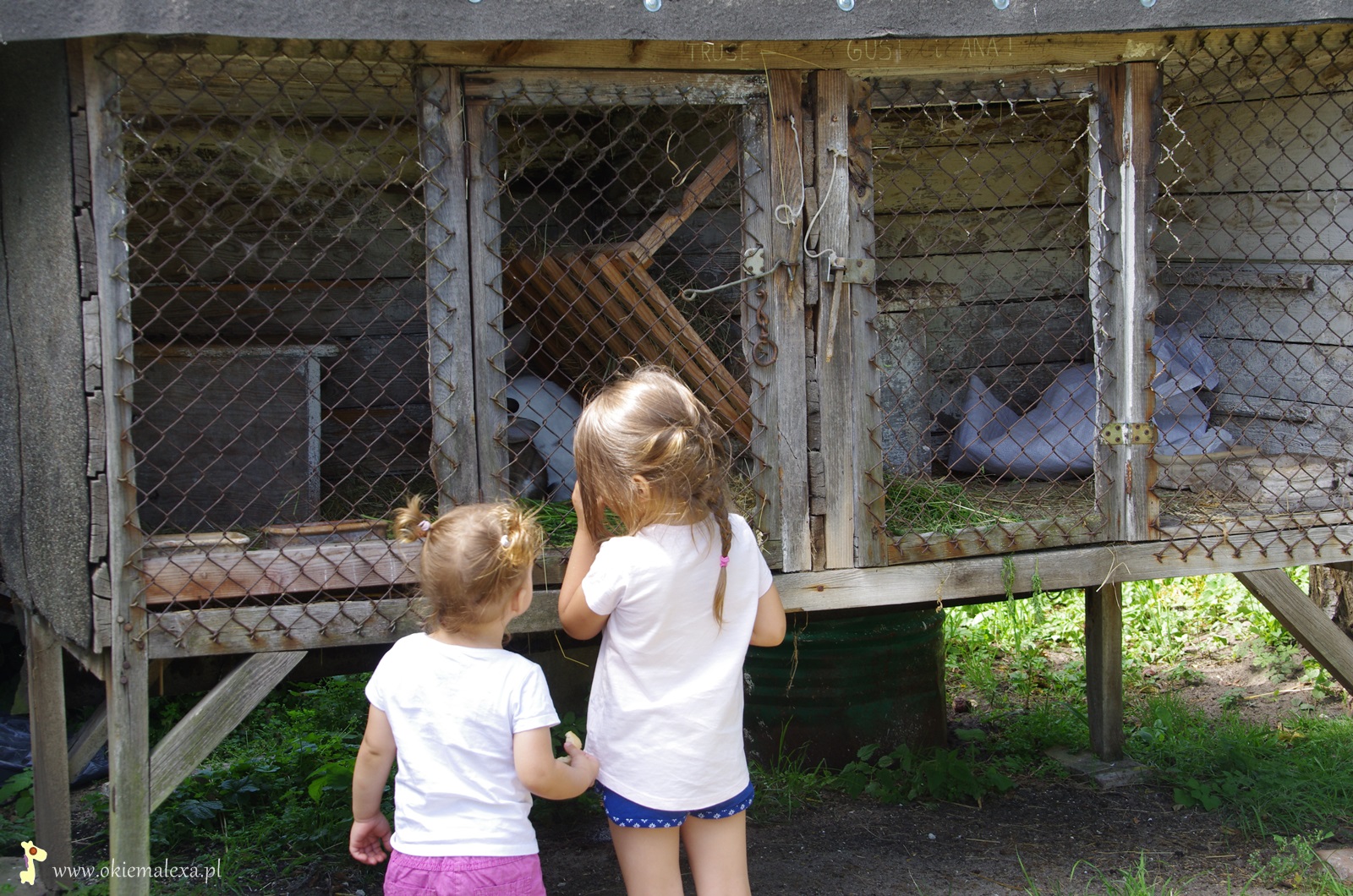 ZAGRODA GBURSKA I RYBACKA