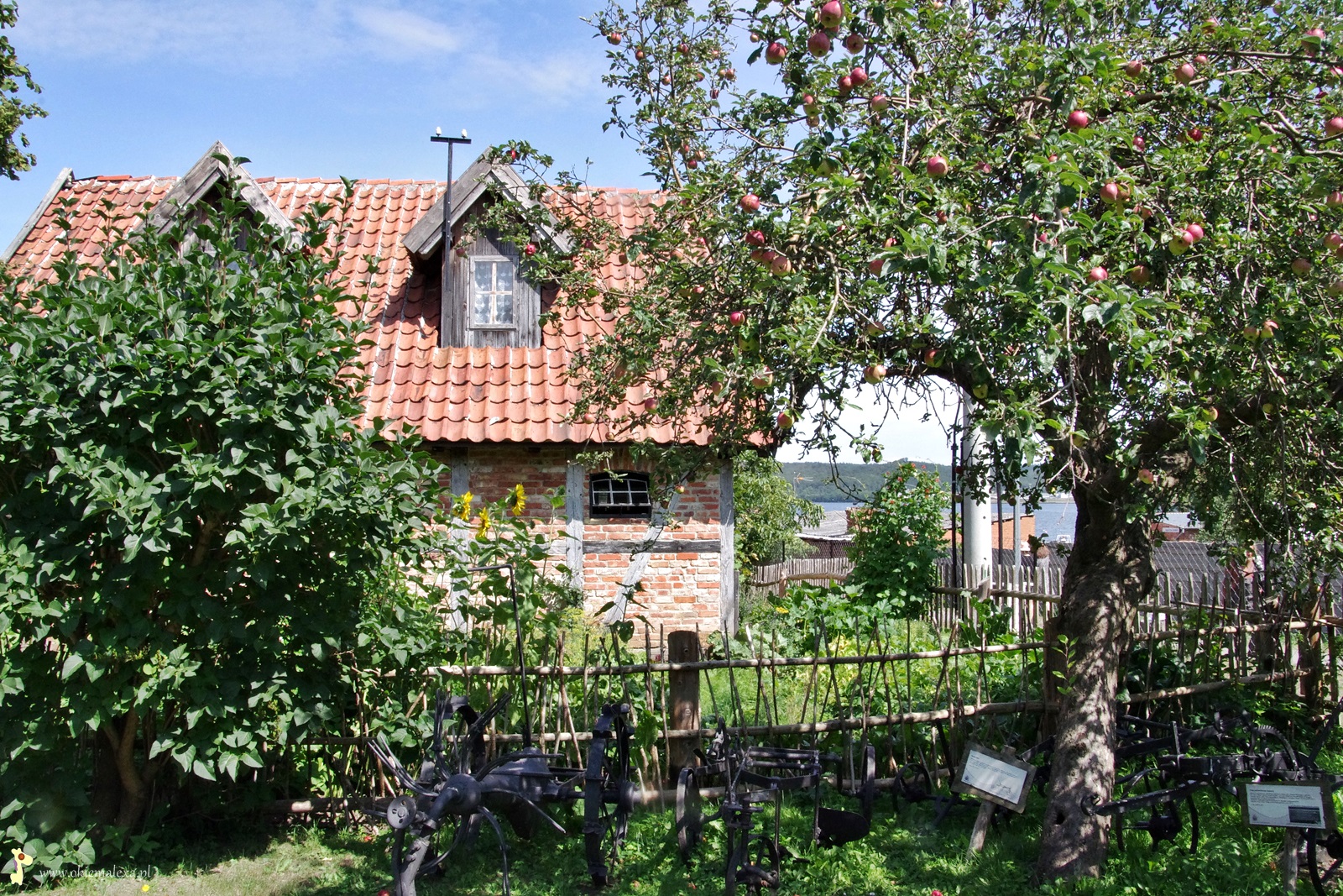 ZAGRODA GBURSKA I RYBACKA