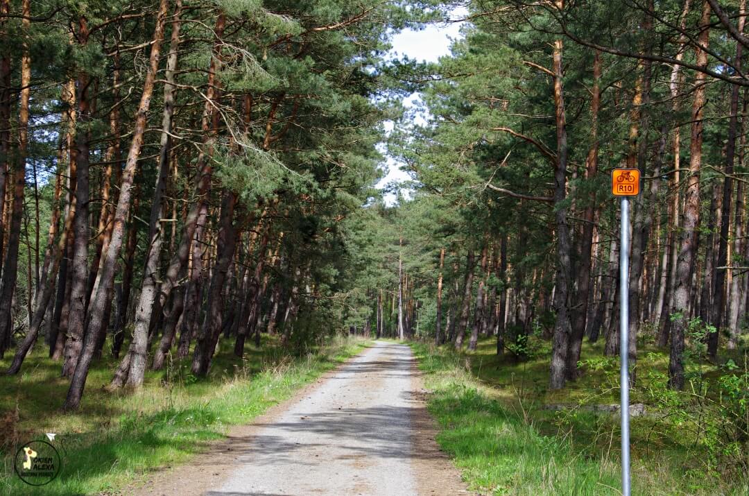 Mierzeja Wiślana rowerem, trasa R10