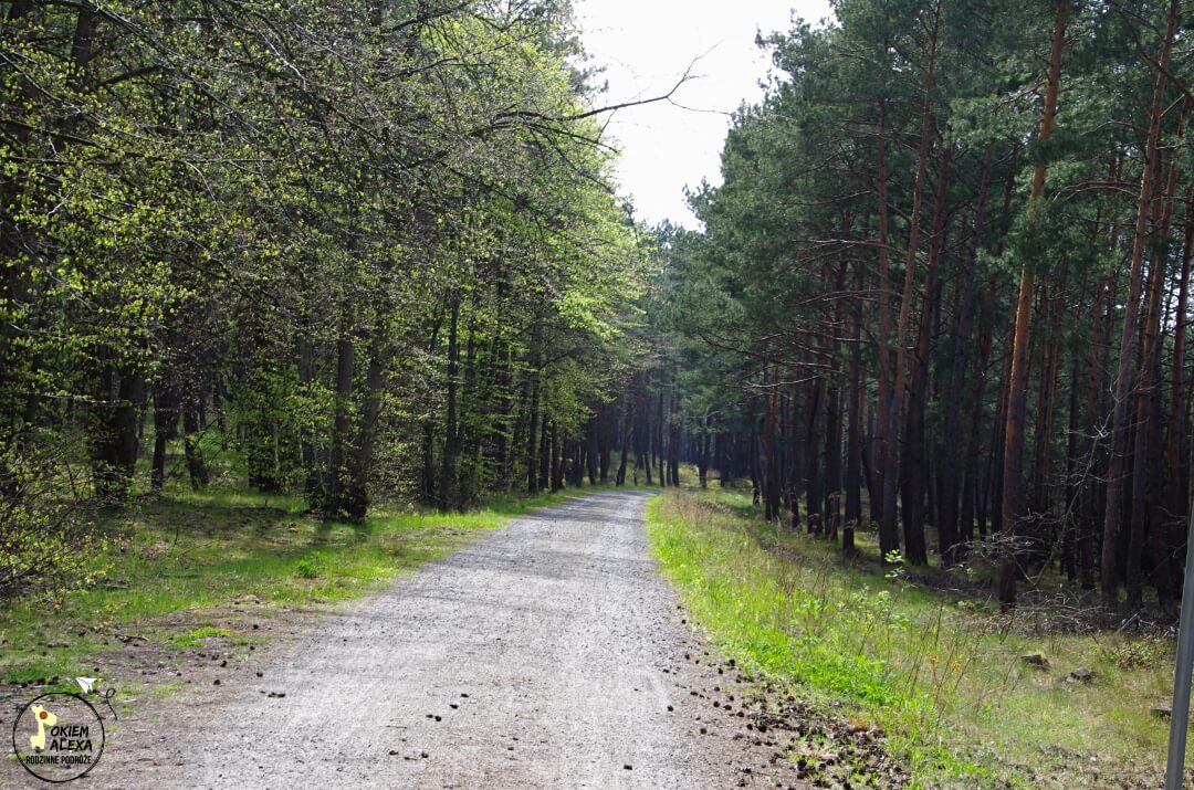 Mierzeja Wiślana rowerem, trasa R10