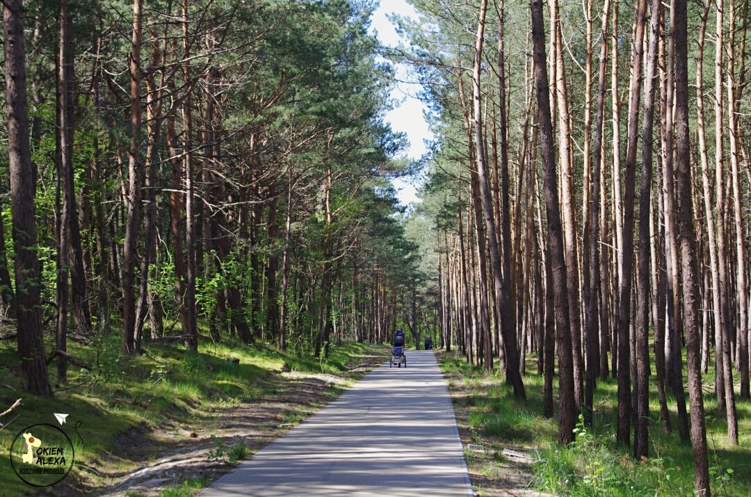 Mierzeja Wiślana rowerem, trasa R10