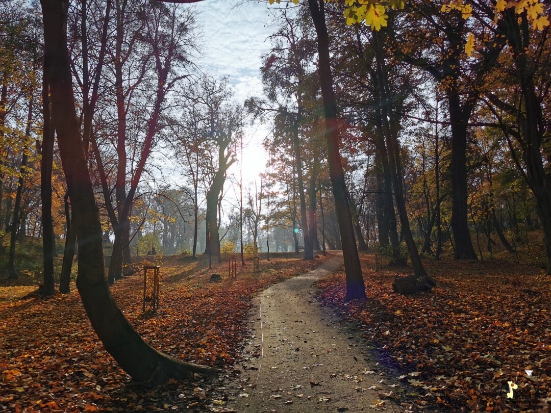Leśny Park Wojanowo