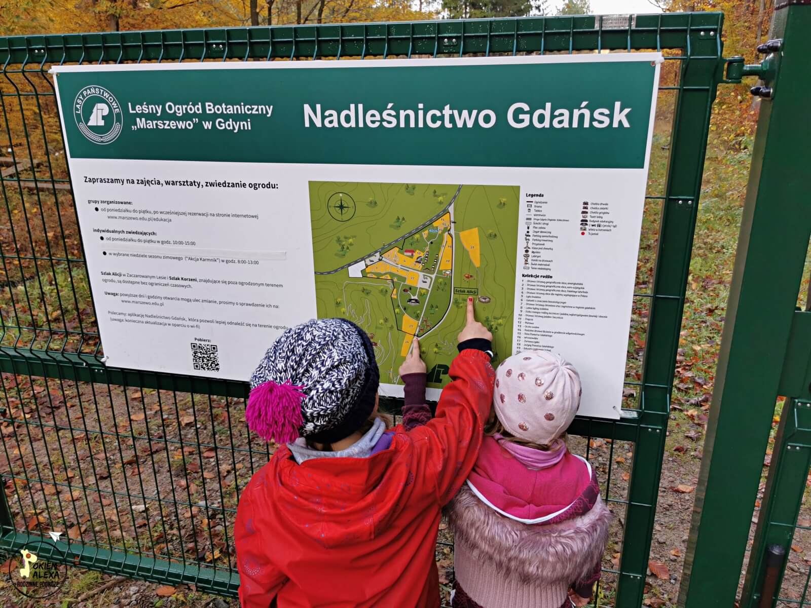 Szlak Alicji i Korzeni, Leśny Ogród Botaniczny Marszewo