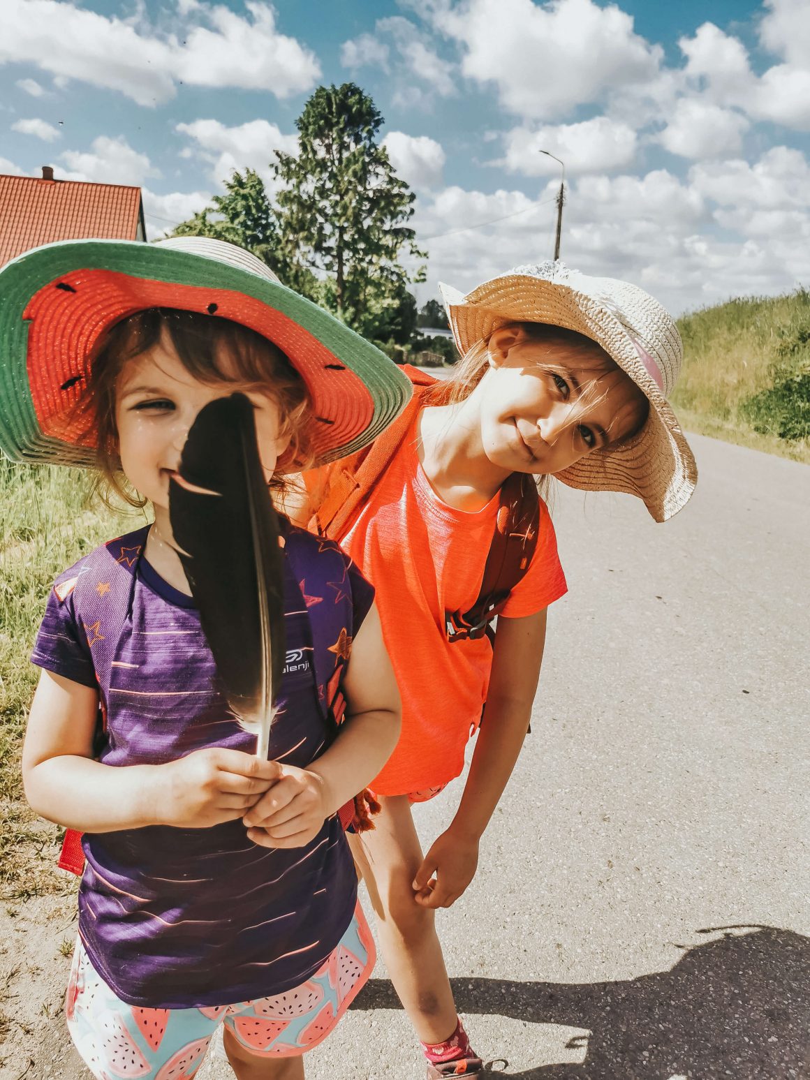 Dwór wybickich w Sikorzynie