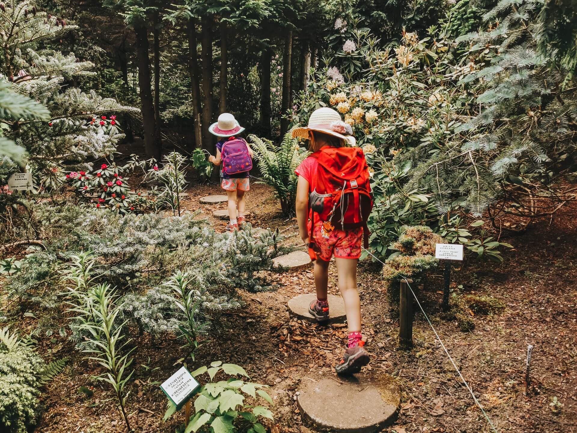 Ogród Botaniczny w Gołubiu.