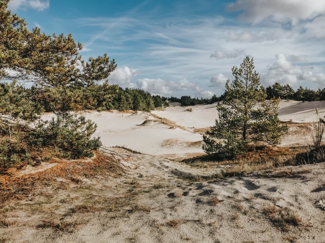 szlak przez wydme lubiatowska