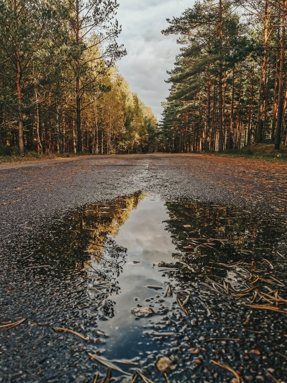 Droga asfaltowa na Wydmę Lubiatowską.