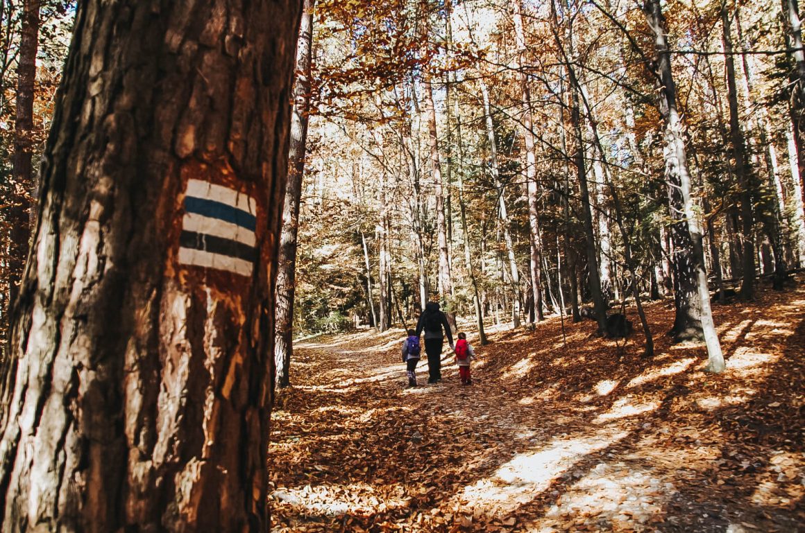 Szlak w Ojcowski Parku Narodowym