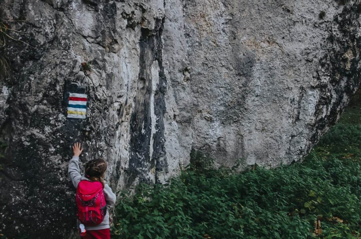 Szlak w Ojcowskim Parku Narodowym.