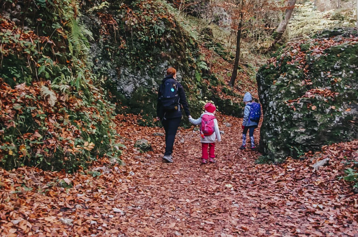Szlak w Ojcowski Parku Narodowym