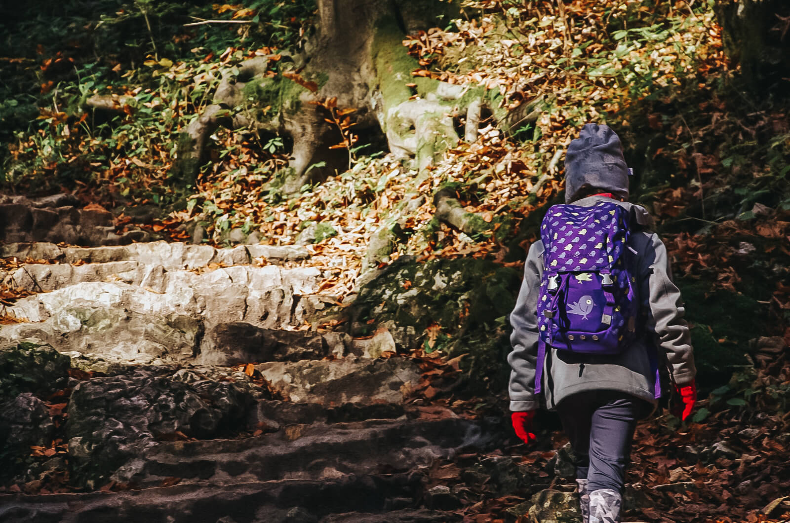 Szlak w Ojcowski Parku Narodowym