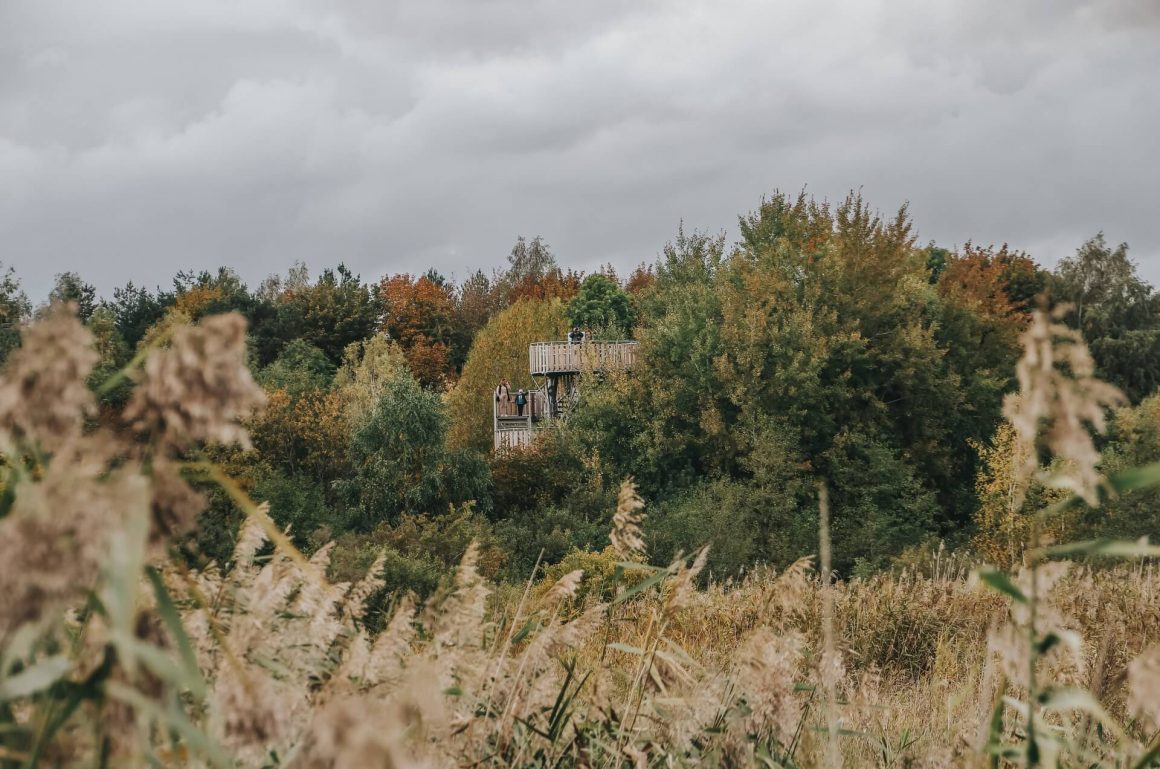 Punkt widokowy w Rezerwacie Beka