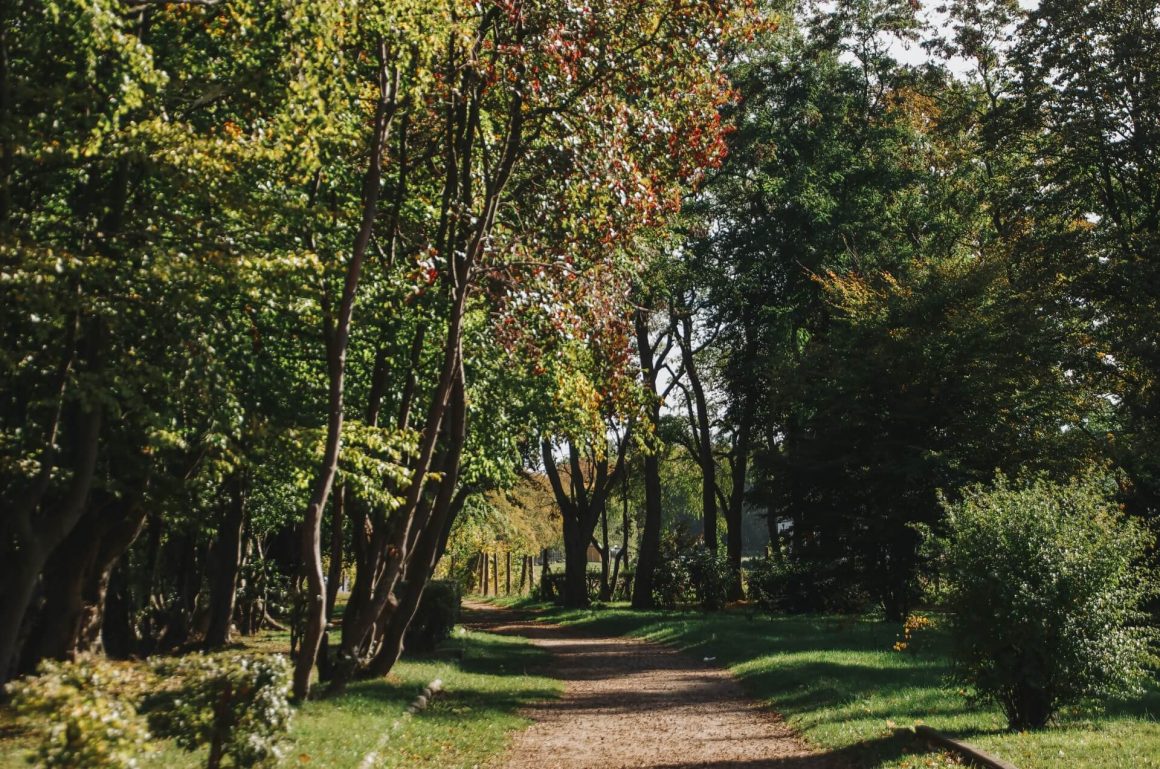 szlak z Pucka w kierunku Rewy
