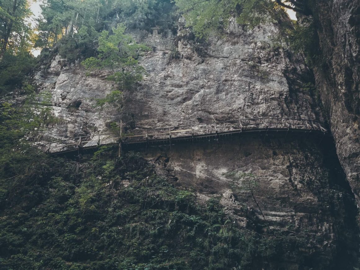 Drewniany mostek w wąwozie Pokljuka