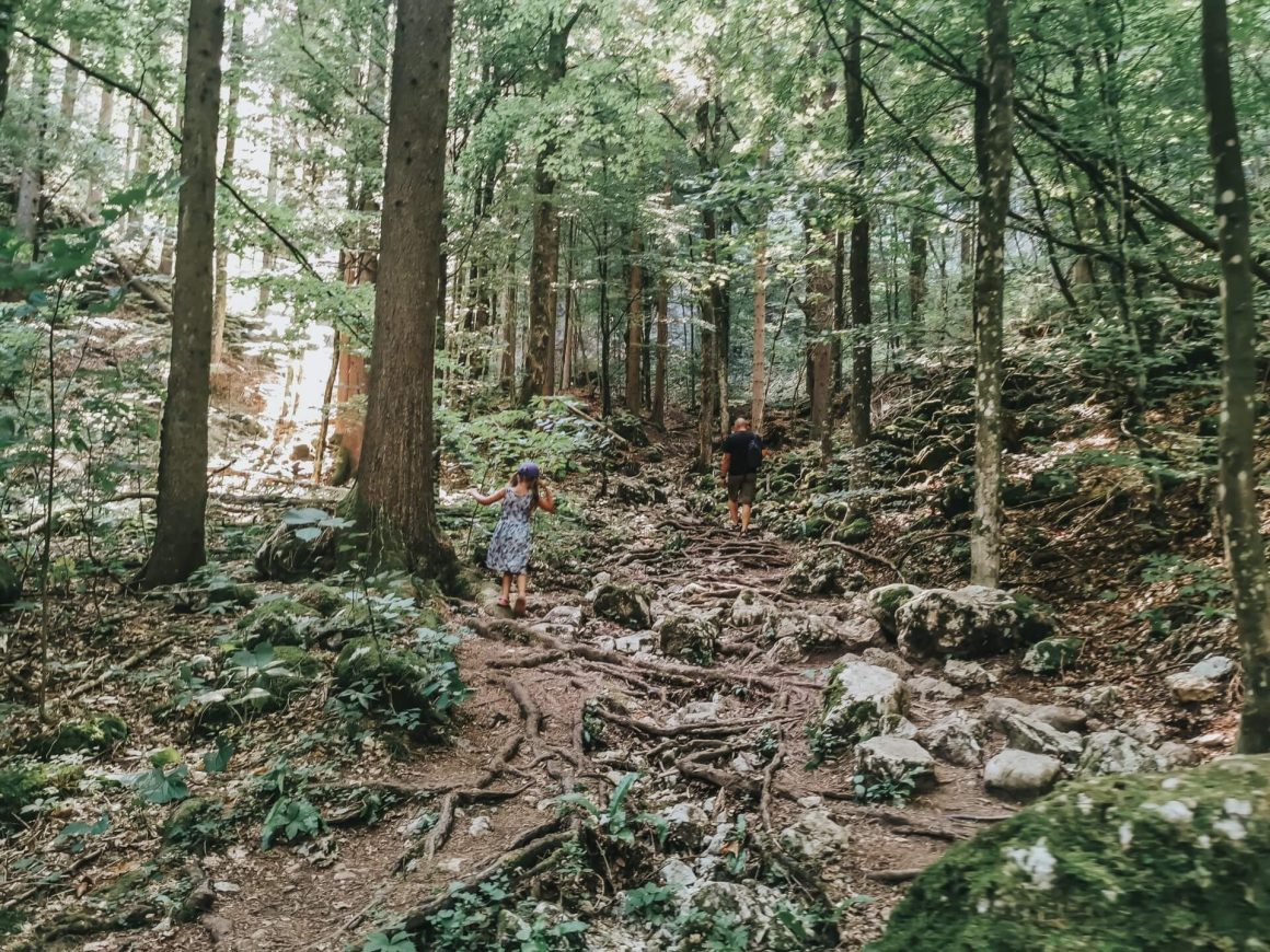 Szlak w wąwozie Pokljuka