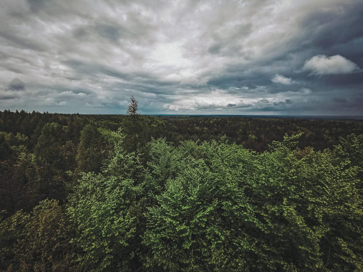 widok z wieży na Górze Siemierzyckiej