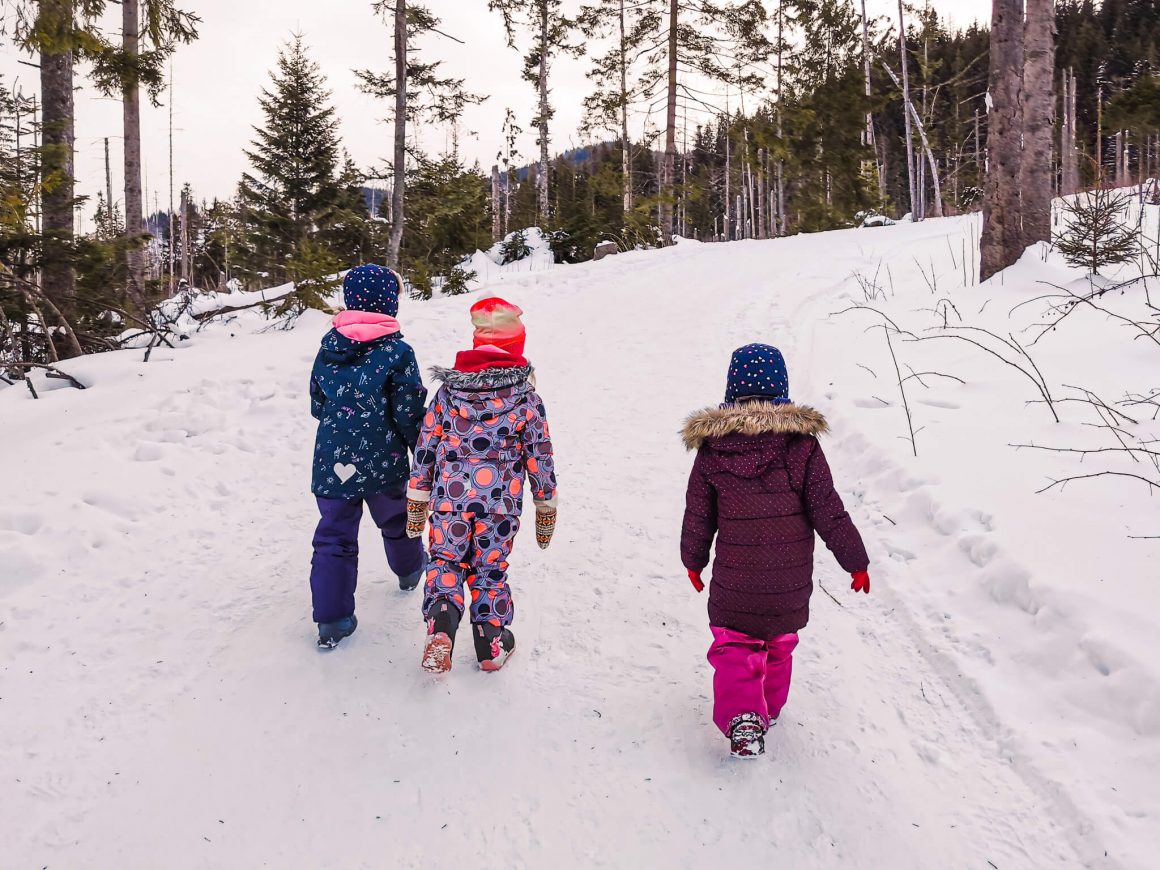 Szlak do Hali Gąsienicowej z Brzezin