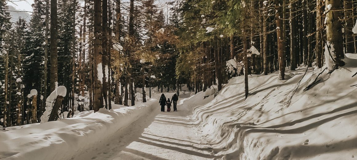 szlak do Murowańca.