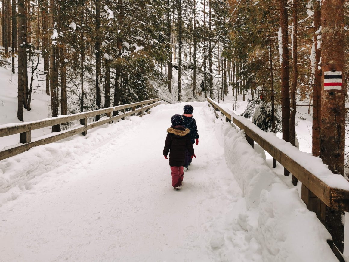 Szlak z Brzezin do schroniska Murowaniec