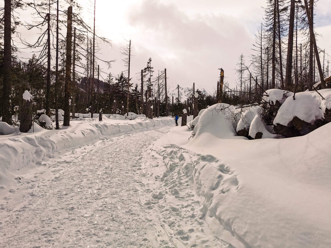 Szlak z Brzezin do schroniska Murowaniec