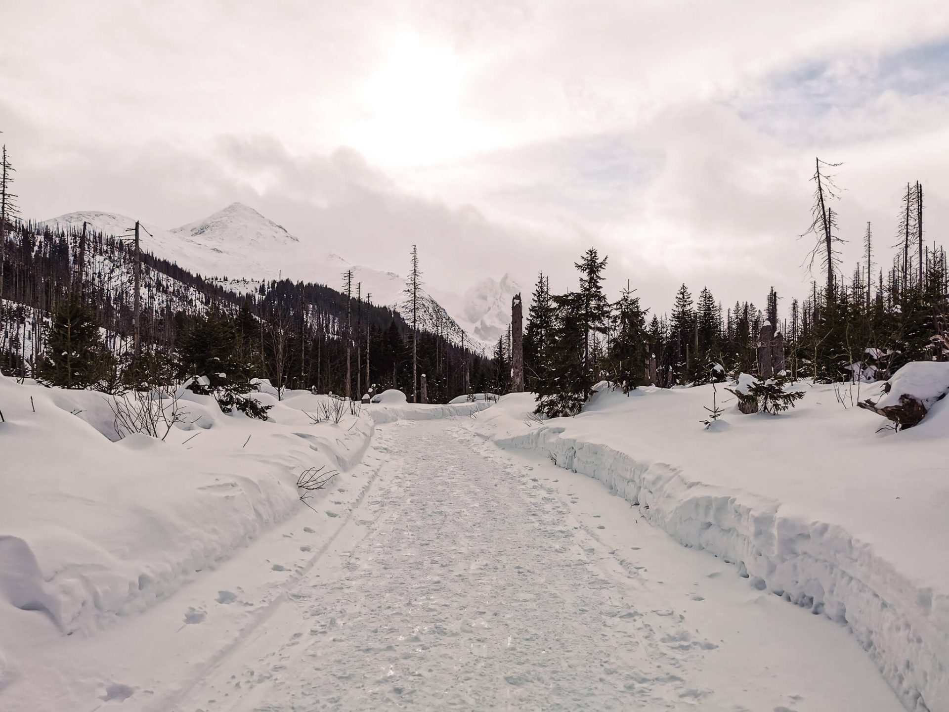 Szlak do Hali Gąsienicowej z Brzezin
