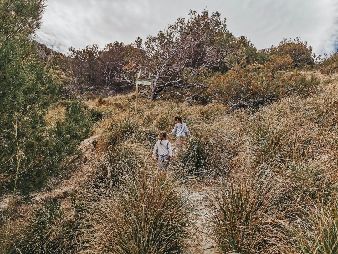 szlak do Cami de Cala Figuera