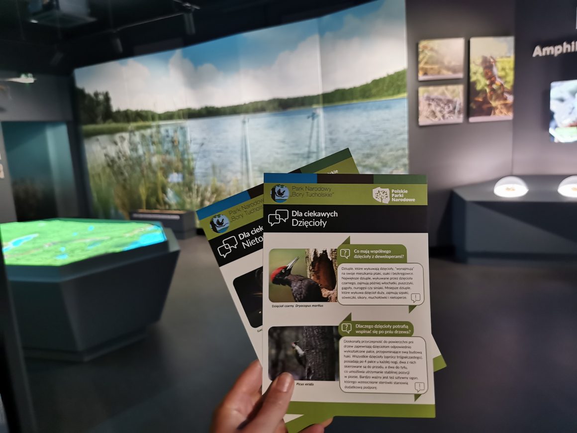 Centrum Edukacji Parku Narodowego Bory Tucholskie