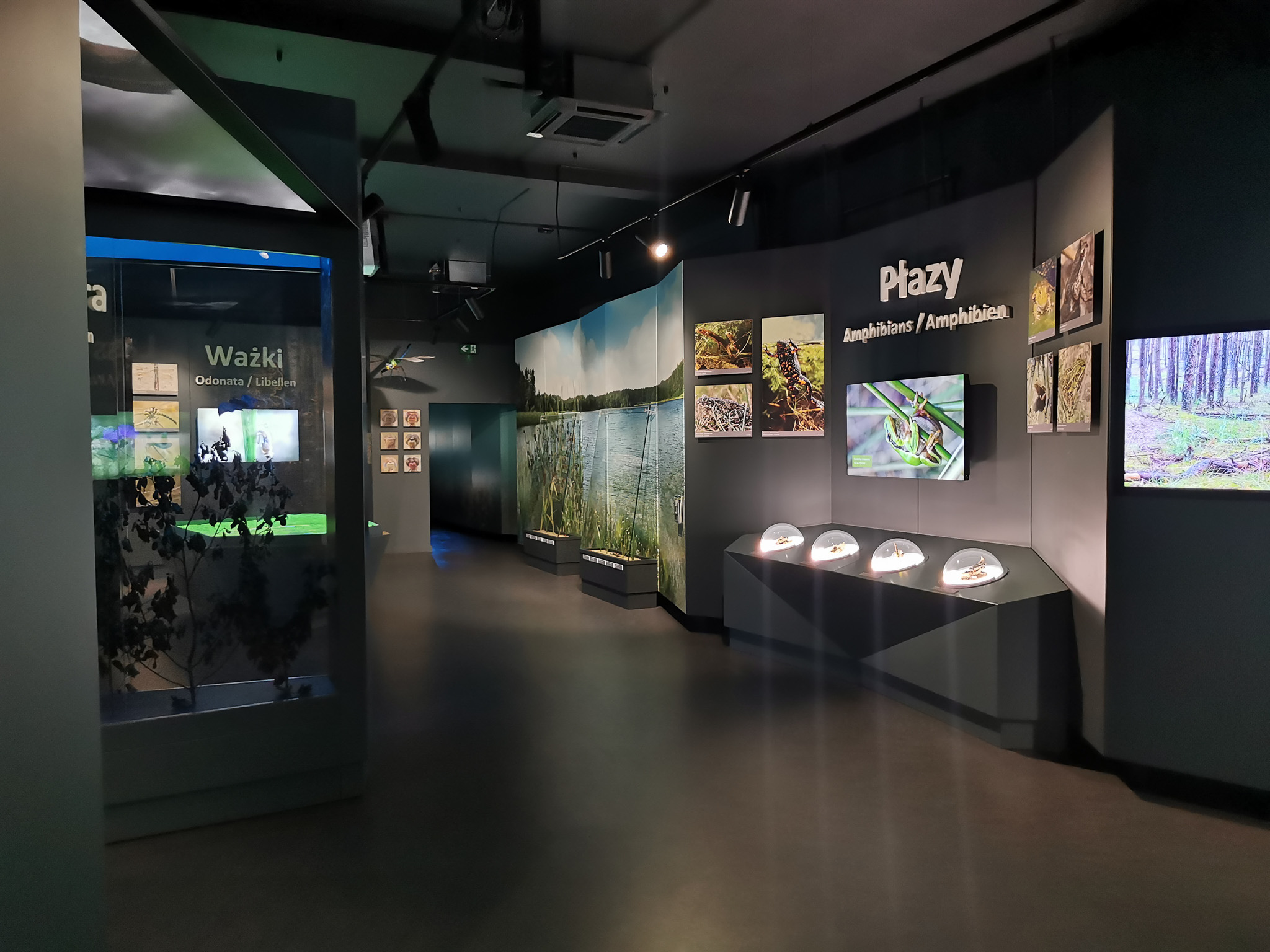 Centrum Edukacji Parku Narodowego Bory Tucholskie